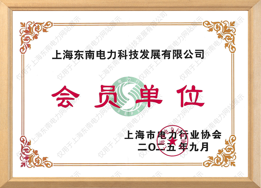电力行业协会会员证书