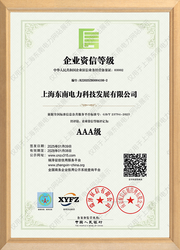 上海东南电力科技发展有限公司_AAA级企业资信等级