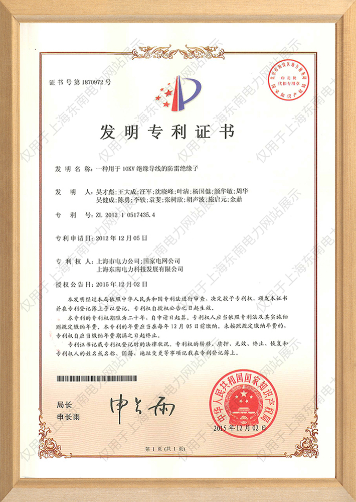 一种用于10KV绝缘导线的防雷绝缘子